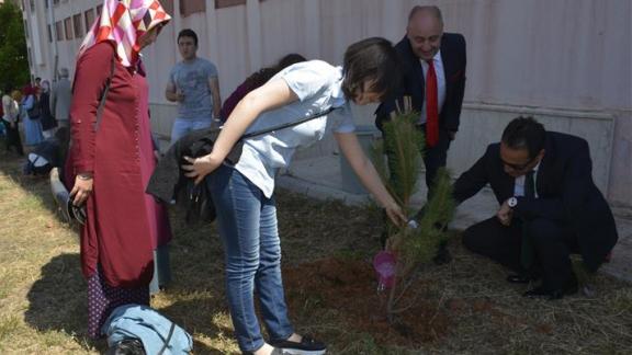 Aday Öğretmenlerimiz Gönüllülük ve Girişimcilik Etkinliği Kapsamında Ağaç Dikimi Gerçekleştirdi